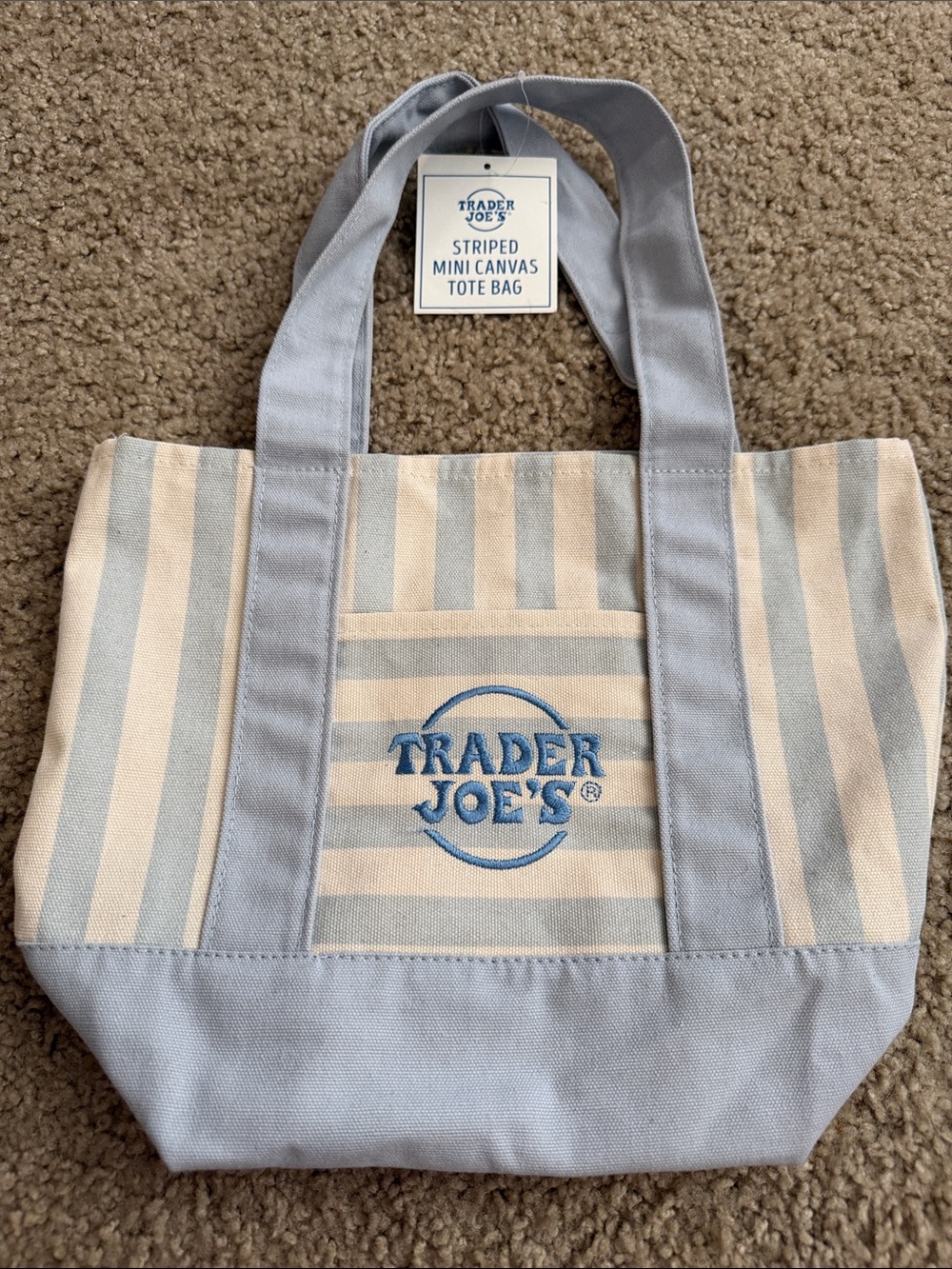 Striped Mini Canvas Tote in Light Blue and Cream